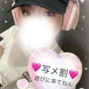 ヒメ日記 2025/10/08 05:40 投稿 ちっぷ お姉京都