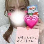 ヒメ日記 2025/12/16 06:22 投稿 ちっぷ お姉京都