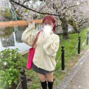 ヒメ日記 2026/04/28 09:52 投稿 ちっぷ お姉京都