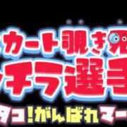 ヒメ日記 2025/05/23 10:39 投稿 りず WHITE(ホワイト)