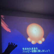 ヒメ日記 2025/07/27 02:39 投稿 りず WHITE(ホワイト)