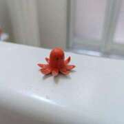 ヒメ日記 2025/06/08 12:56 投稿 かいり お姉さんSelect