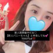 ヒメ日記 2025/04/16 06:03 投稿 ソウ バニーコレクション秋田店