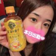 ヒメ日記 2026/01/17 07:23 投稿 ソウ バニーコレクション秋田店