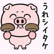 ヒメ日記 2026/04/09 09:26 投稿 ソウ バニーコレクション秋田店