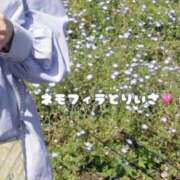 ヒメ日記 2025/05/03 10:00 投稿 りいさ AFTER V（アフターファイブ）