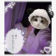 ヒメ日記 2025/06/01 09:22 投稿 りいさ AFTER V（アフターファイブ）