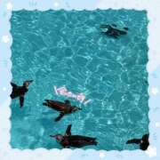 ヒメ日記 2025/07/19 09:29 投稿 りいさ AFTER V（アフターファイブ）