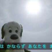 ヒメ日記 2025/08/12 23:04 投稿 かなた AFTER V（アフターファイブ）