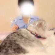 ヒメ日記 2025/07/07 08:30 投稿 りな AFTER V（アフターファイブ）