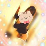 ヒメ日記 2025/04/08 12:21 投稿 つばき チューリップ土浦店