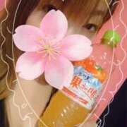 ヒメ日記 2025/04/11 16:21 投稿 つばき チューリップ土浦店