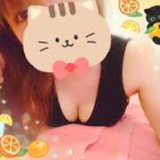 ヒメ日記 2025/04/11 20:40 投稿 つばき チューリップ土浦店