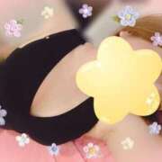 ヒメ日記 2025/04/12 09:20 投稿 つばき チューリップ土浦店