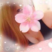 ヒメ日記 2025/04/12 13:20 投稿 つばき チューリップ土浦店