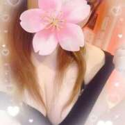 ヒメ日記 2025/05/13 19:48 投稿 つばき チューリップ土浦店