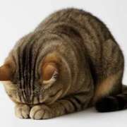 ヒメ日記 2025/11/12 12:23 投稿 かんな 大和人妻城