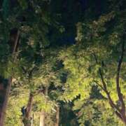 ヒメ日記 2025/09/25 22:42 投稿 本庄ななせ 札幌ソフィア