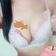 ヒメ日記 2026/04/02 08:03 投稿 本庄ななせ 札幌ソフィア