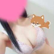 ヒメ日記 2026/05/14 10:06 投稿 本庄ななせ 札幌ソフィア