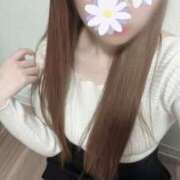 ヒメ日記 2025/04/29 15:20 投稿 雛森恋羽 札幌ソフィア