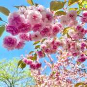 ヒメ日記 2025/05/03 18:20 投稿 雛森恋羽 札幌ソフィア