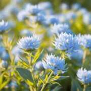 ヒメ日記 2025/05/14 17:04 投稿 雛森恋羽 札幌ソフィア