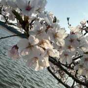 ヒメ日記 2026/04/14 22:01 投稿 ねむ 僕らのぽっちゃリーノin大宮