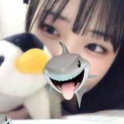 ヒメ日記 2025/05/17 20:56 投稿 ねね E+アイドルスクール