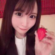 ヒメ日記 2025/04/15 18:04 投稿 蜜野うさ デリス新宿