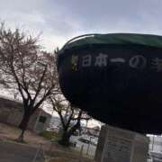 ヒメ日記 2025/04/23 16:54 投稿 さな 桃李（とうり）