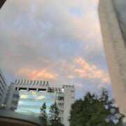 ヒメ日記 2025/08/05 14:45 投稿 さな 桃李（とうり）