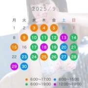 ヒメ日記 2025/09/08 07:44 投稿 さな 桃李（とうり）