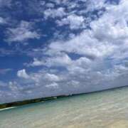 ヒメ日記 2025/12/08 17:04 投稿 さな 桃李（とうり）