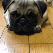 ヒメ日記 2025/04/08 02:33 投稿 沢口　りお ギン妻パラダイス 谷九店