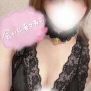 ヒメ日記 2025/08/13 22:11 投稿 りあん 野田デリヘル若妻淫乱倶楽部