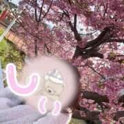 ヒメ日記 2025/05/04 20:24 投稿 しぃ アラビアンナイト