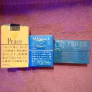 ヒメ日記 2025/05/29 17:45 投稿 しぃ アラビアンナイト