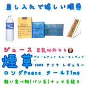 ヒメ日記 2025/06/05 12:15 投稿 しぃ アラビアンナイト