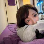 ヒメ日記 2025/06/10 11:01 投稿 しぃ アラビアンナイト