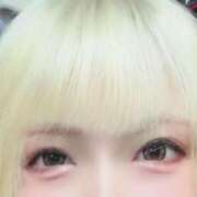 ヒメ日記 2025/12/30 06:33 投稿 しぃ アラビアンナイト