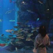 ヒメ日記 2025/04/21 17:46 投稿 せな(14000) 原価デリヘルcospa（コスパ）