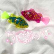 ヒメ日記 2025/05/31 10:44 投稿 しず ラブライフ大宮岩槻店