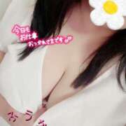 ヒメ日記 2025/08/25 11:52 投稿 ふうか 熟女＆人妻＆ぽっちゃり倶楽部