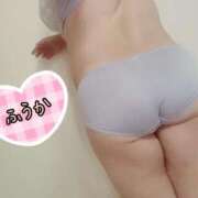 ヒメ日記 2025/09/07 11:28 投稿 ふうか 熟女＆人妻＆ぽっちゃり倶楽部