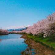 ヒメ日記 2025/04/21 11:02 投稿 いちか ちゃんこ藤沢茅ヶ崎店