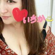 ヒメ日記 2025/05/31 21:32 投稿 いちか ちゃんこ藤沢茅ヶ崎店