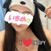 ヒメ日記 2025/08/12 21:32 投稿 いちか ちゃんこ藤沢茅ヶ崎店