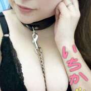 ヒメ日記 2025/08/15 21:32 投稿 いちか ちゃんこ藤沢茅ヶ崎店