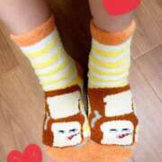 ヒメ日記 2025/11/10 23:22 投稿 いちか ちゃんこ藤沢茅ヶ崎店